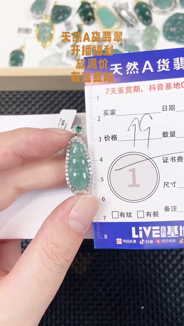 颈饰未镶嵌翡翠天然A货翡翠挂件