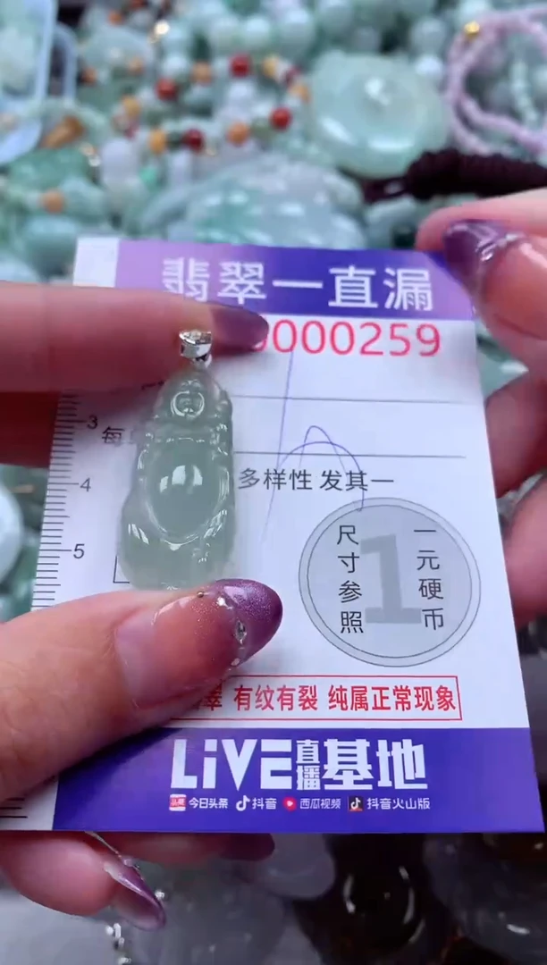 翡翠未镶嵌吊坠(不含链)259