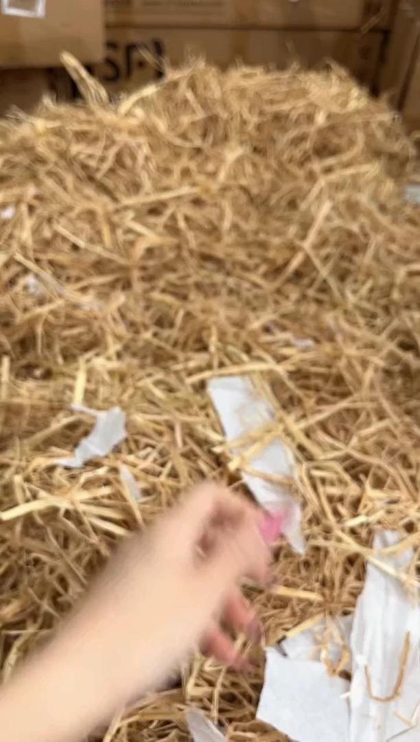 未镶嵌手镯石英质玉T5083