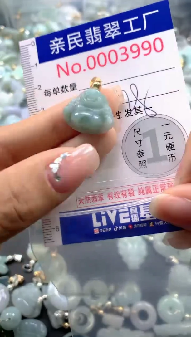 颈饰未镶嵌翡翠3990