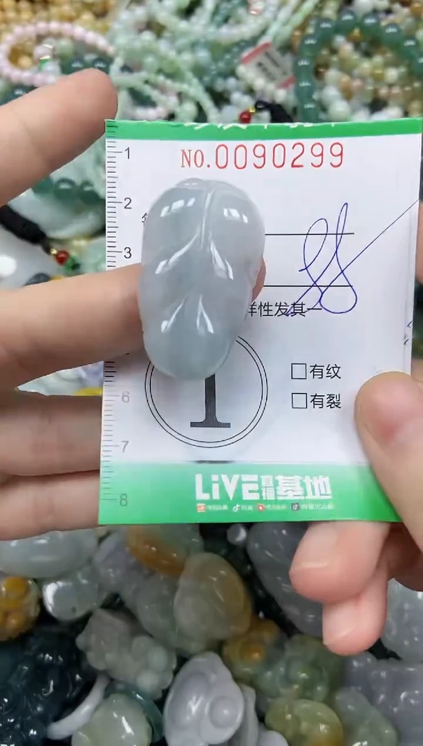 颈饰未镶嵌翡翠闪购0090299