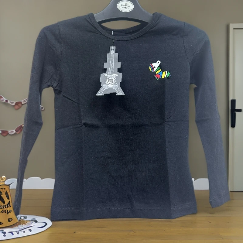 外贸纯棉休闲百搭儿童T圆领修身型长袖日常T恤通用刺绣简约风