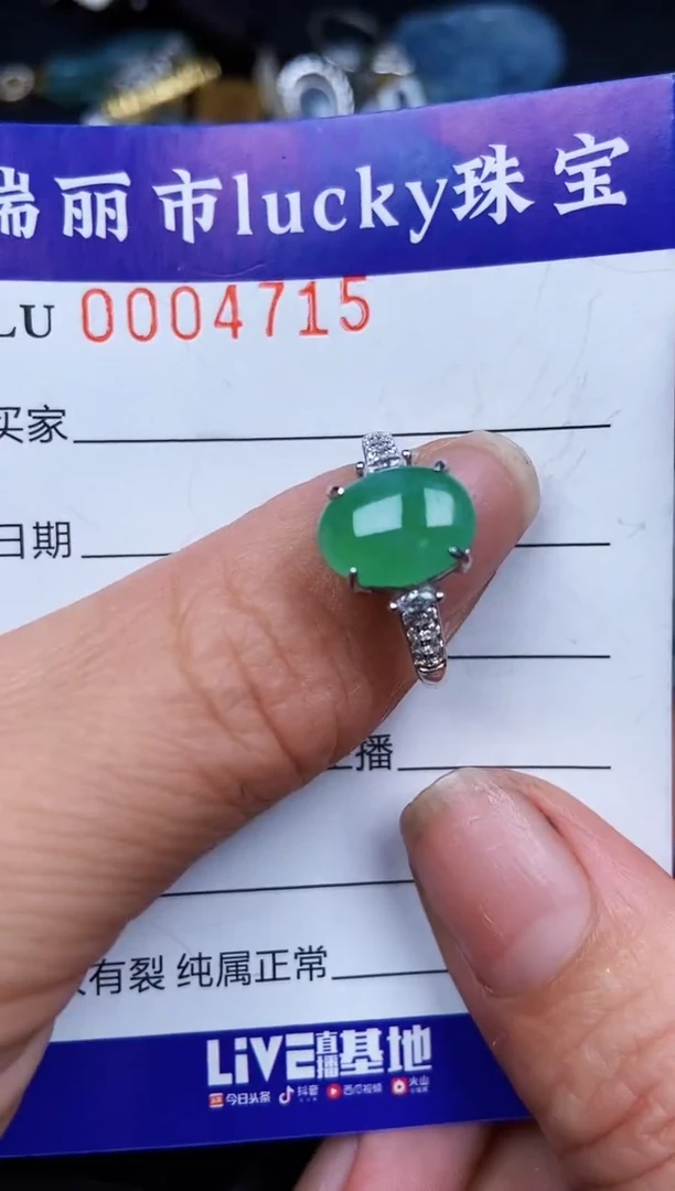 翡翠银S925镶嵌颈饰4715