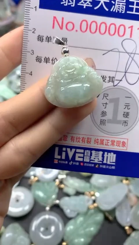 颈饰未镶嵌翡翠011