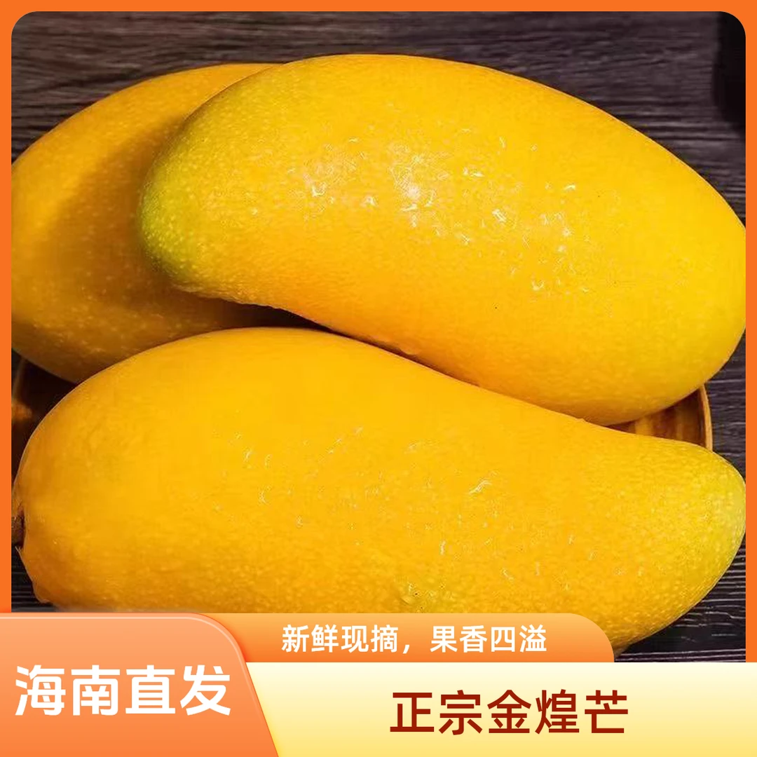 【助农补贴】新鲜海南金煌芒果水仙芒核薄肉厚水果新鲜应季