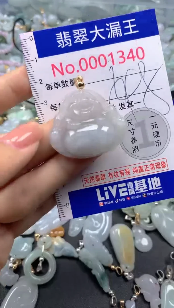 颈饰未镶嵌翡翠1340