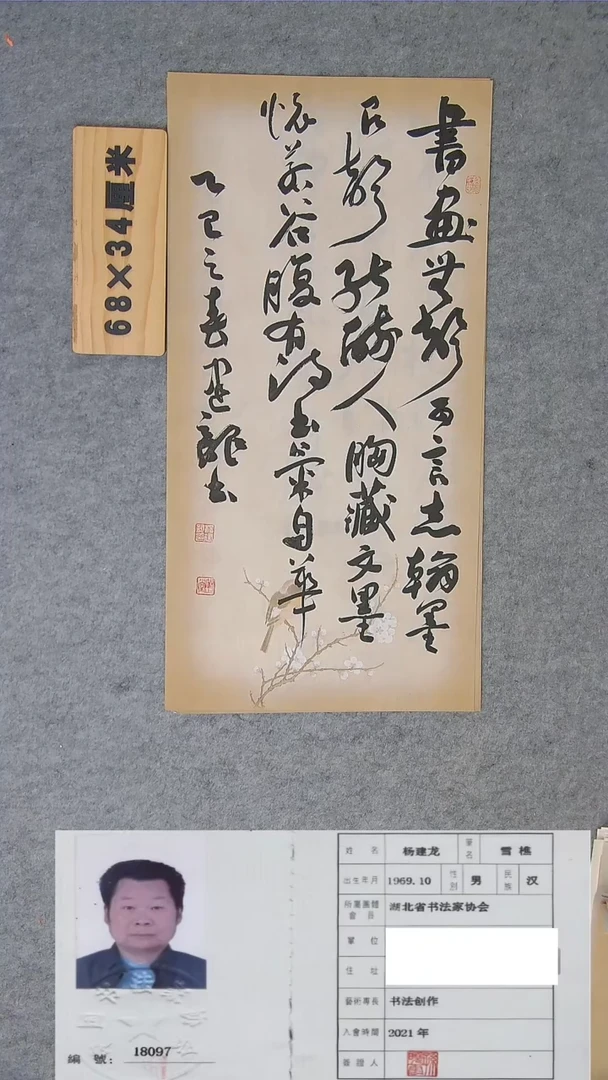 书法龙老师书法精品纯手写  湖北