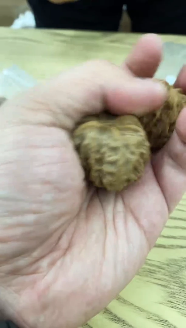 把件核桃#37980苹果园原生态