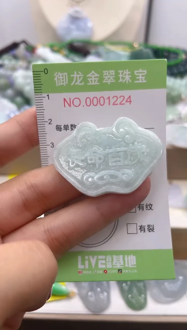 颈饰未镶嵌翡翠029多样性发货