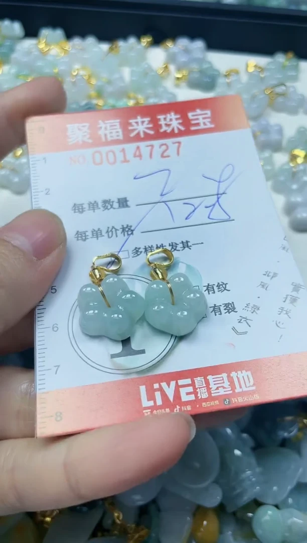 【闪购商品】翡翠颈饰未镶嵌闪购0014727多样性发其一