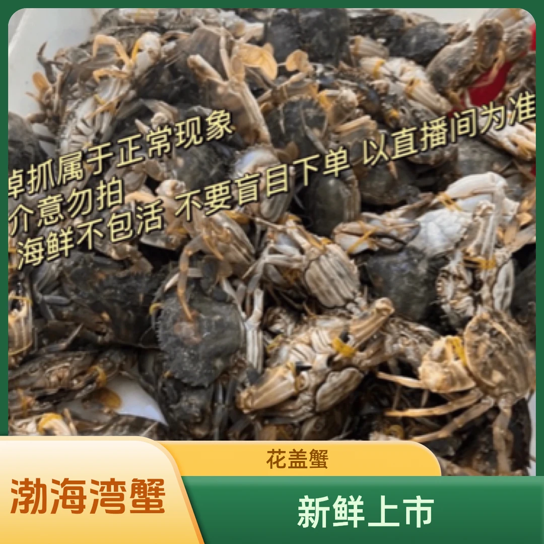 【保鲜不保活】本地渤海湾黑沿子花盖蟹一两一只左右3斤起拍