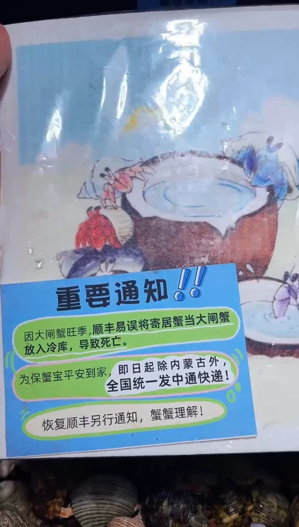 陌派有钳木浆抹布