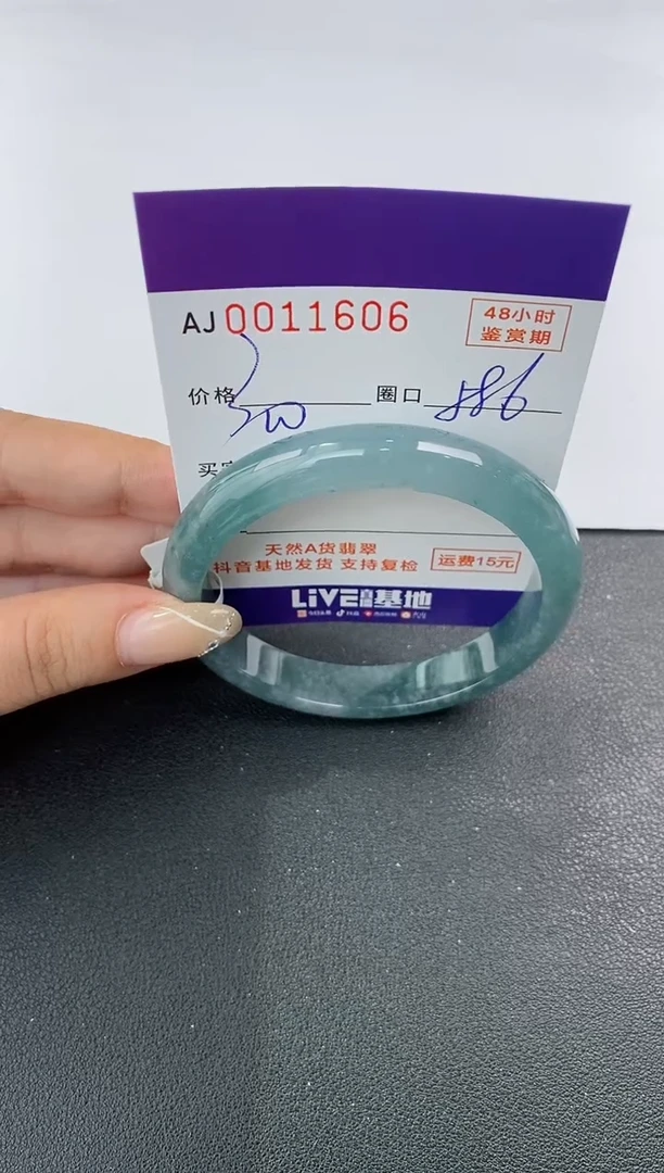 未镶嵌手镯翡翠天然A货翡翠
