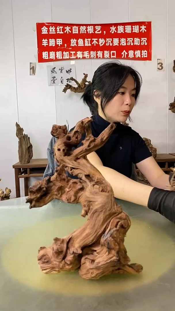 香榧木依**滴金丝红木 羊蹄甲