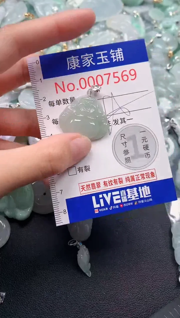 吊坠(不含链)未镶嵌翡翠7569