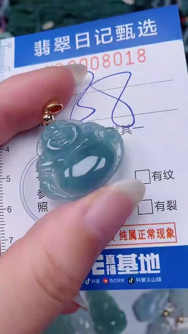 翡翠未镶嵌颈饰00008018