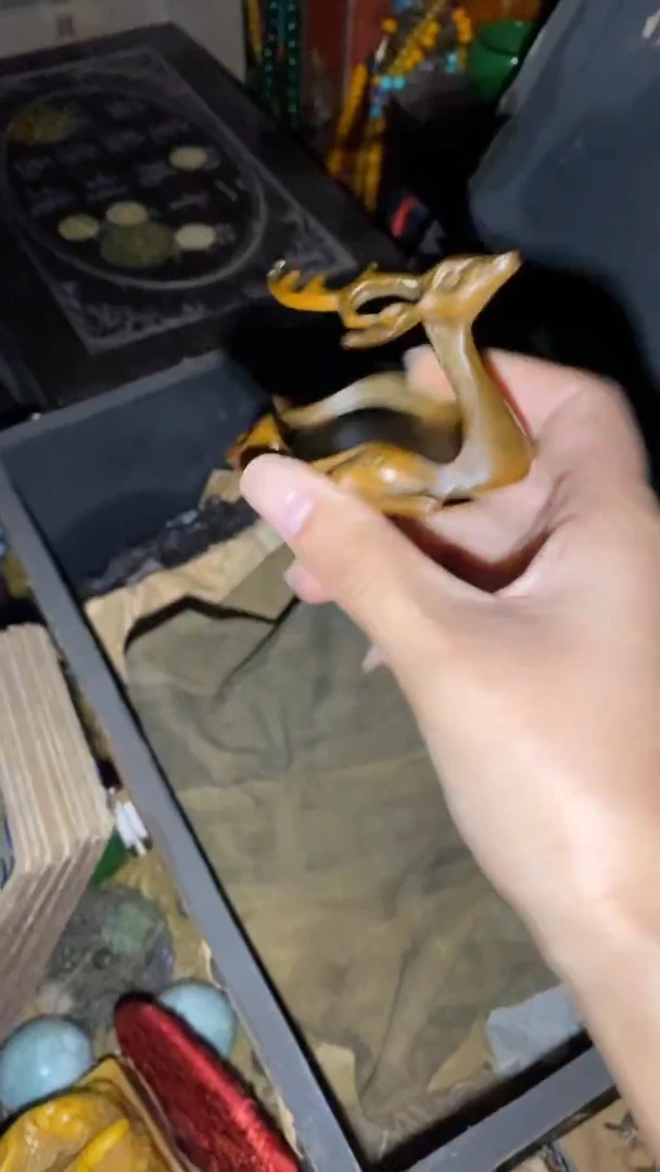 一一一一一一一一福利