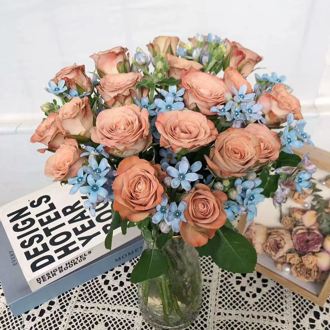 10枝卡布奇诺玫瑰+10枝蓝星花 -鲜花鲜切花好养家庭插花玫瑰鲜花速递配送