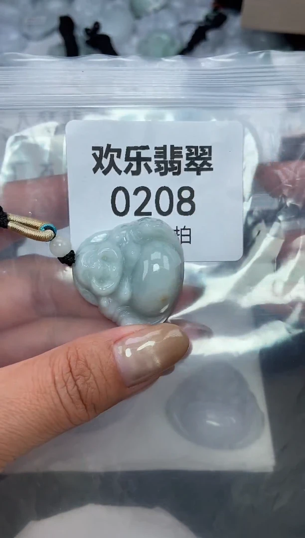 颈饰未镶嵌翡翠缅甸天然翡翠0208