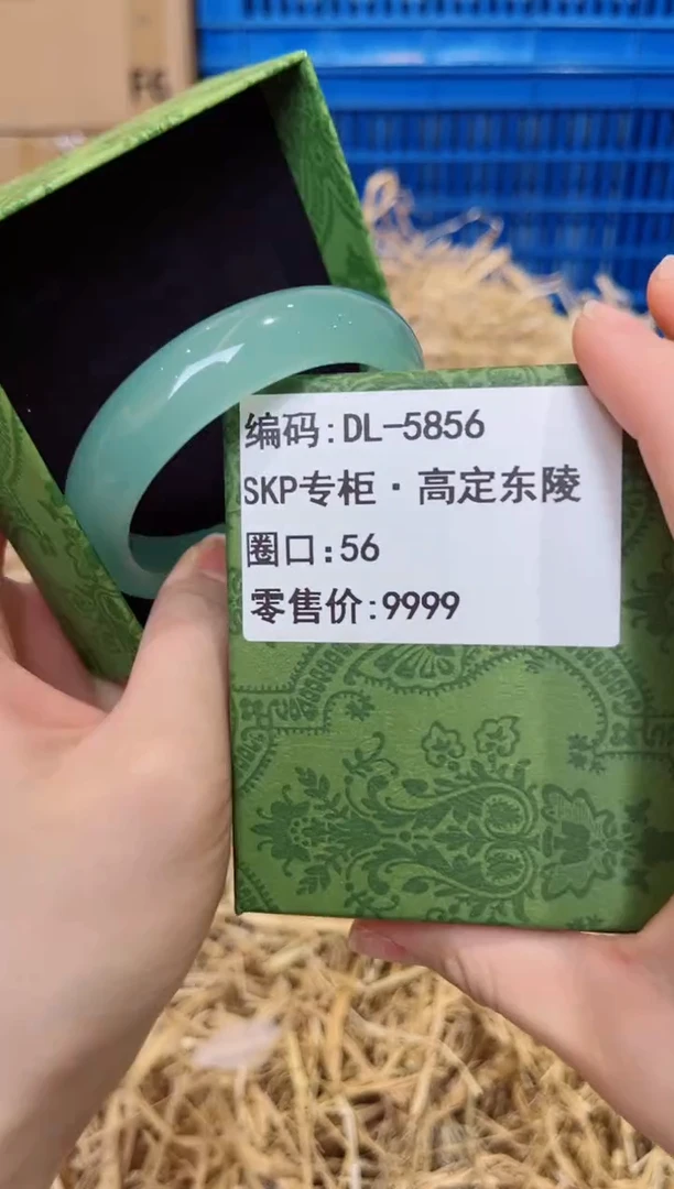 未镶嵌手镯石英质玉DL-5856