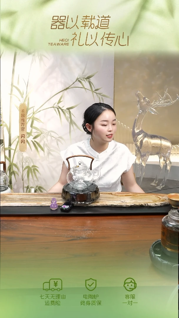 闪购 禾钺壶双内胆（透明）+璀璨水晶电陶炉