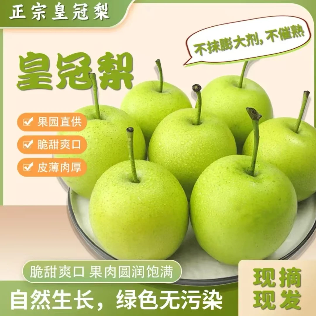 河北青皮皇冠梨当季水果产地直发新鲜现摘皮薄肉厚脆甜多汁