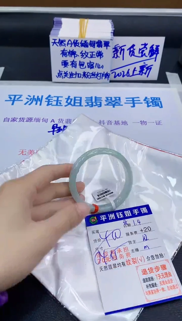 未镶嵌手镯翡翠11111