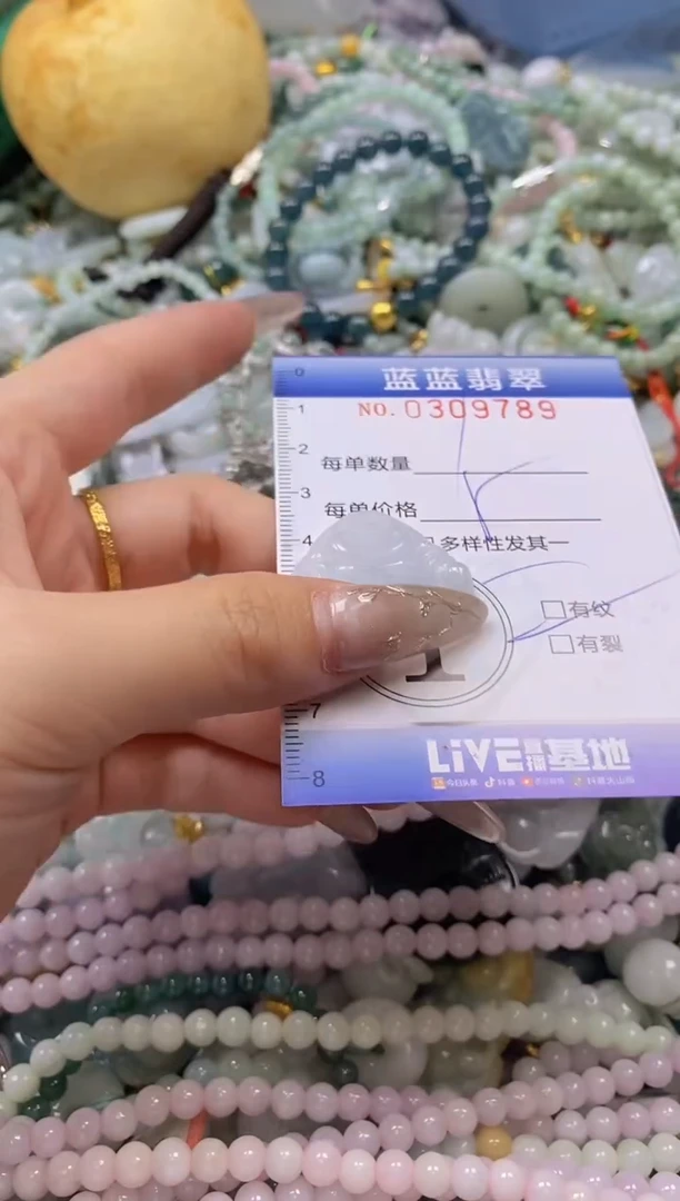 翡翠未镶嵌颈饰闪购0309789