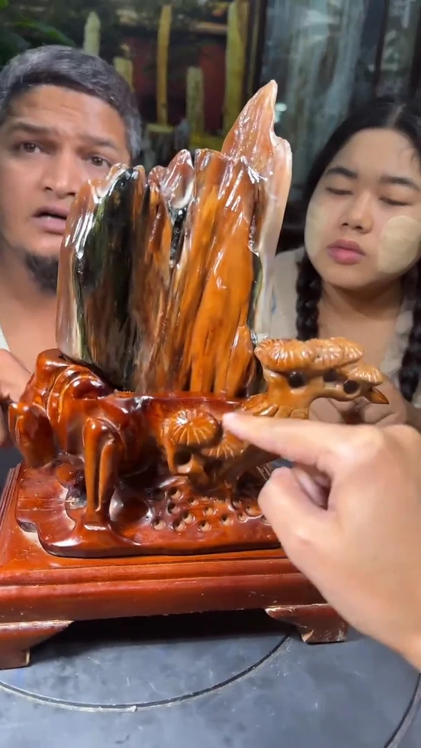 【闪购商品】硅化玉珠宝奇石未镶嵌拍一发一