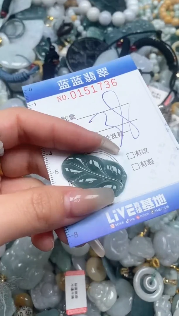 【闪购商品】翡翠颈饰未镶嵌闪购0151736