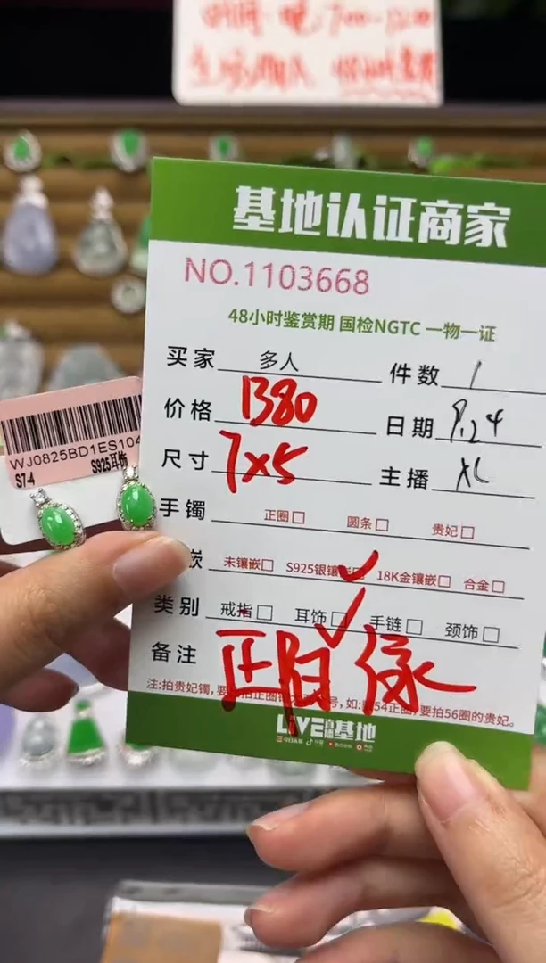 银S925镶嵌翡翠耳饰多人