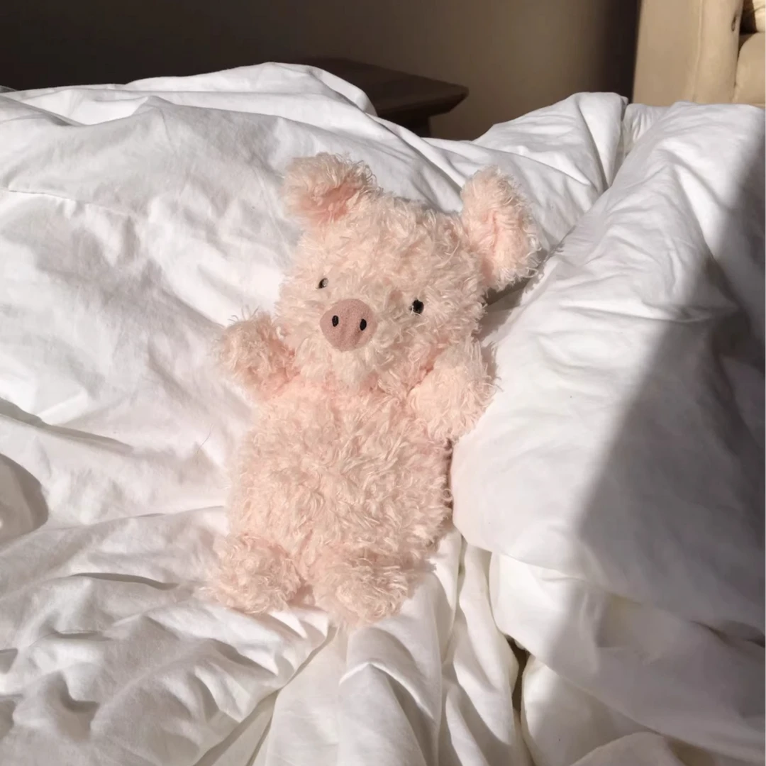 【活动中】网红JC同款平替美味粉小猪毛绒可爱玩偶玩具安抚伴床娃娃
