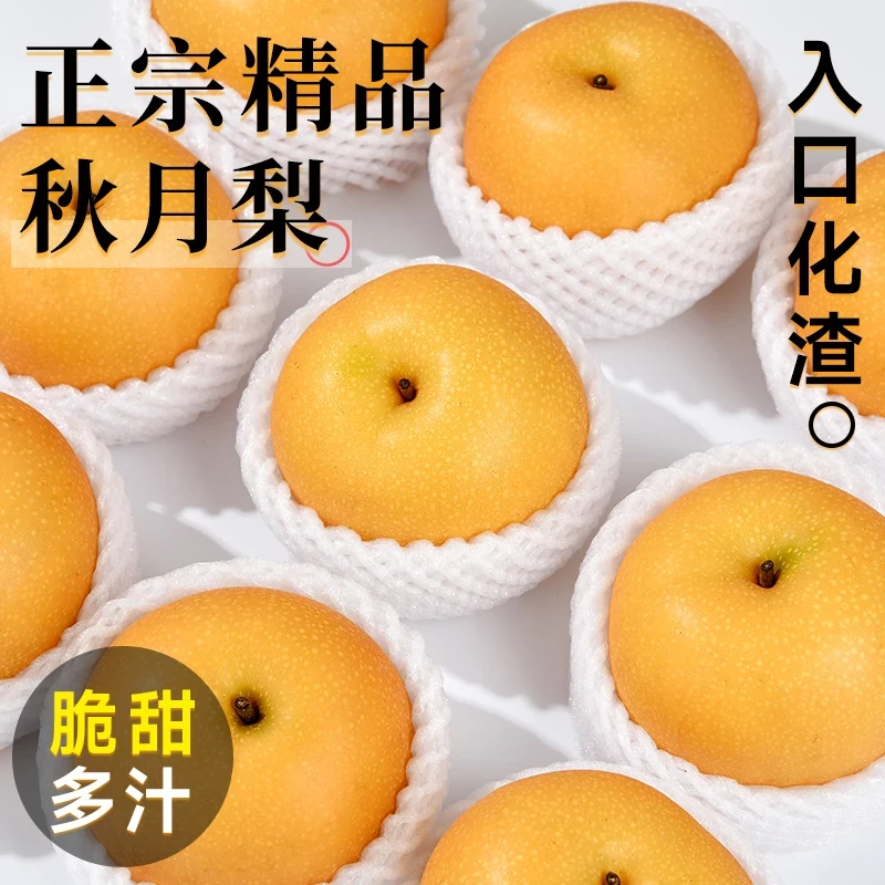【正宗山东莱阳】秋月梨新鲜水果应当季5斤特大秋月梨整箱