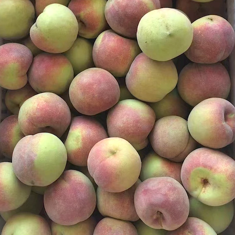 小冬桃新鲜毛桃硬桃当季新鲜水果