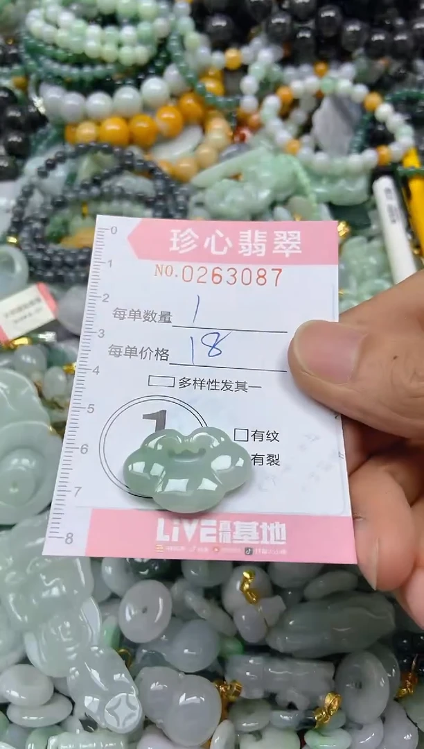 翡翠未镶嵌颈饰闪购0263087