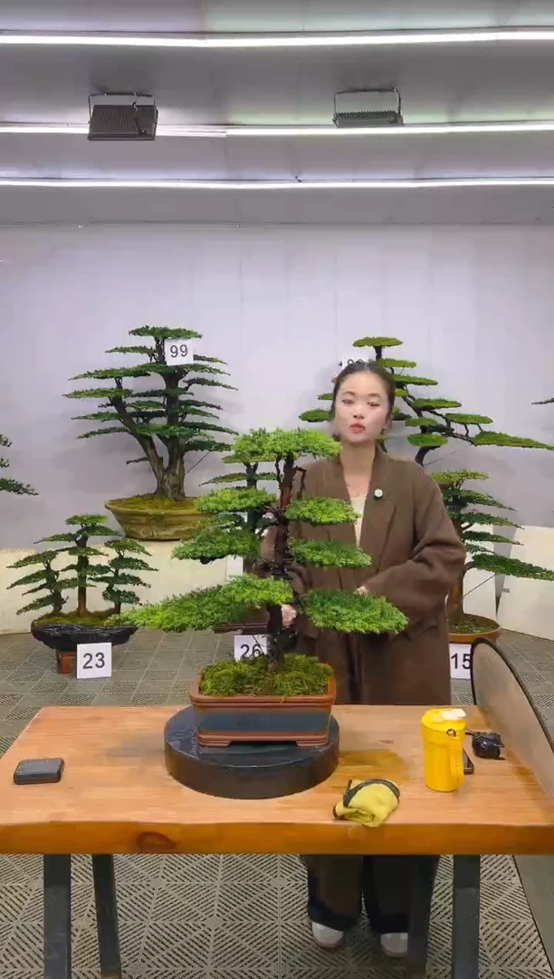 无花朵一物一拍一物一拍