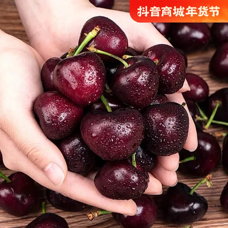 豆 智利海运拉宾斯3J-5J车厘子5斤装详情页内附果径卡 内附果径卡