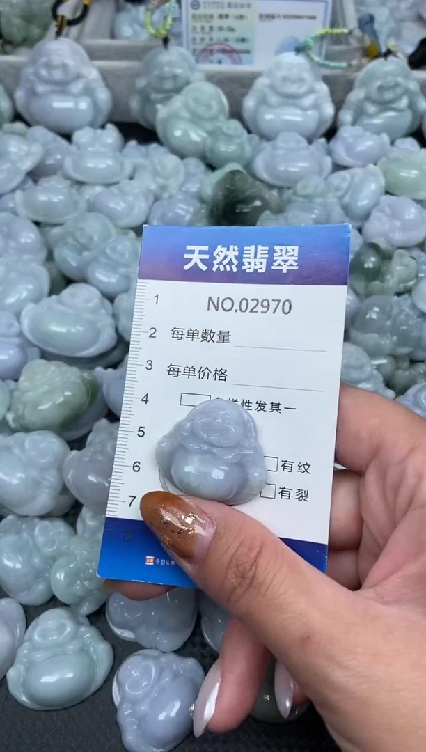 颈饰未镶嵌翡翠纯天然A货翡翠2970