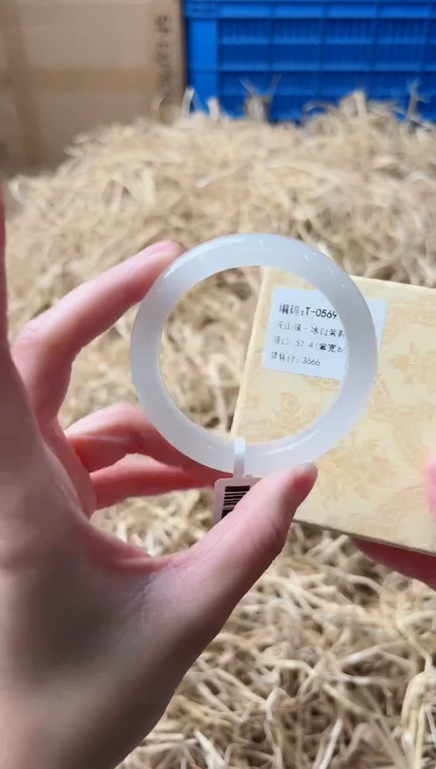 未镶嵌手镯石英质玉T-0569