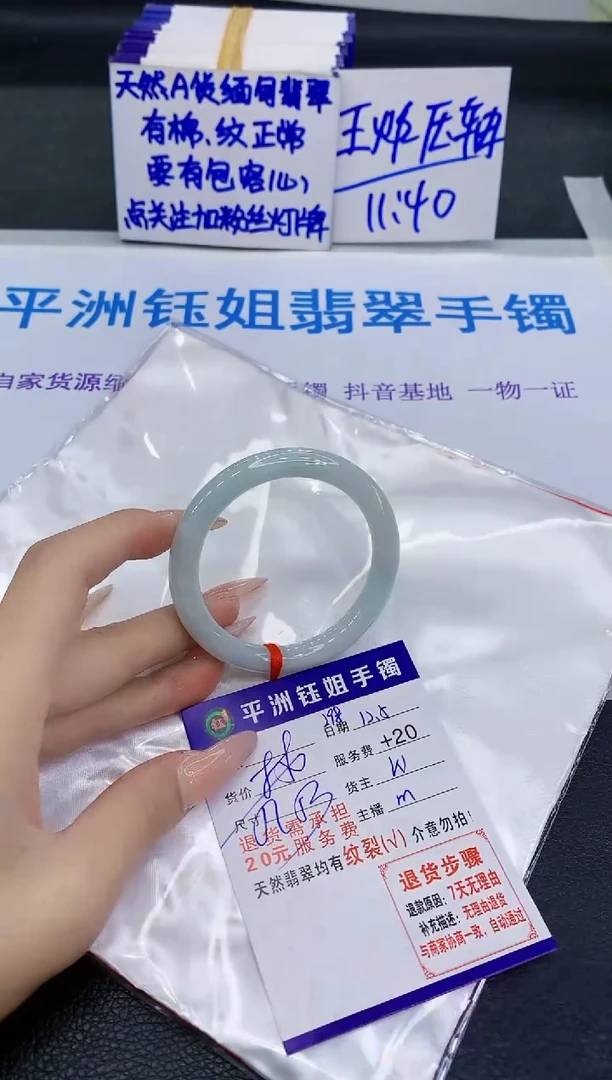 未镶嵌手镯翡翠11111
