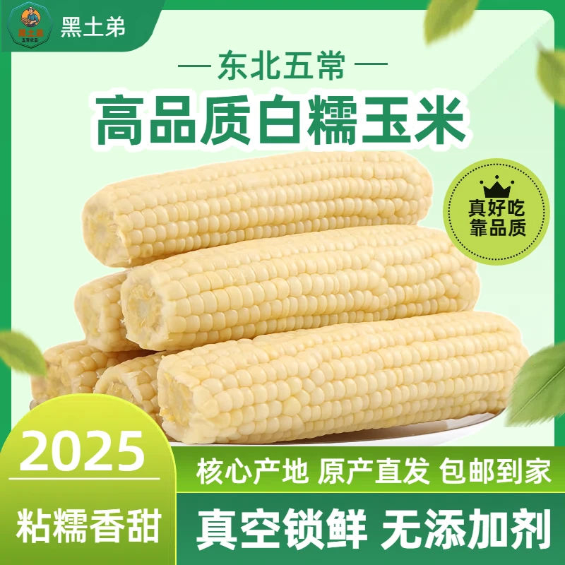 【试吃两根】2025年新白糯玉米-336口感香甜软糯8只装