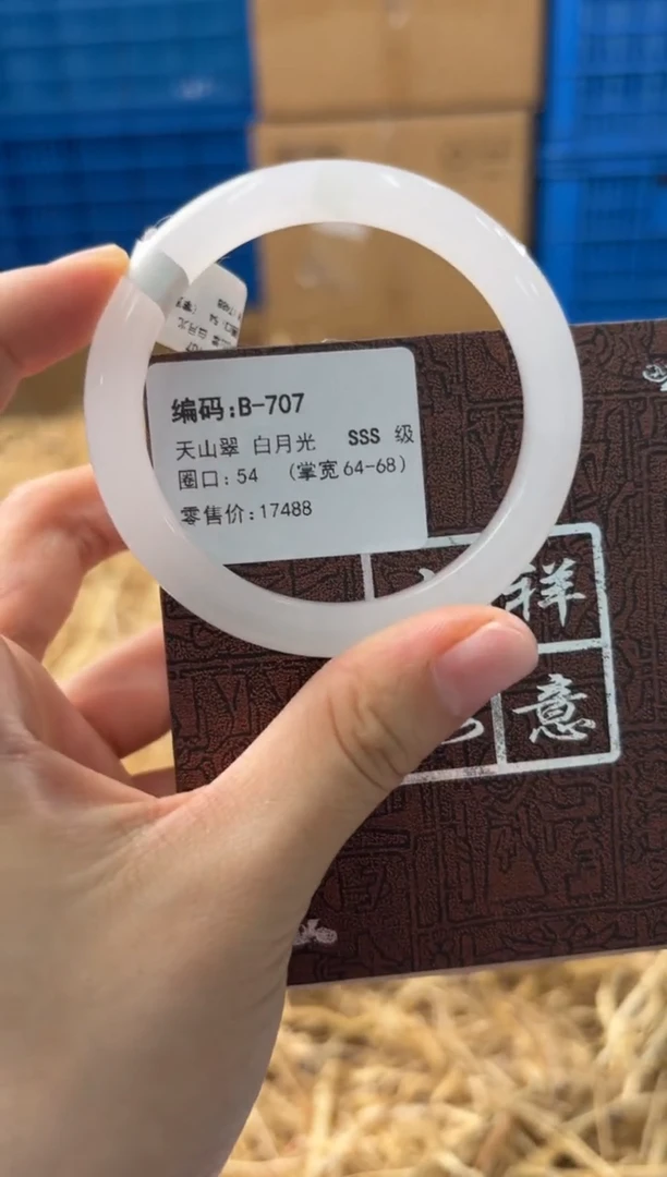 未镶嵌手镯石英质玉B-707