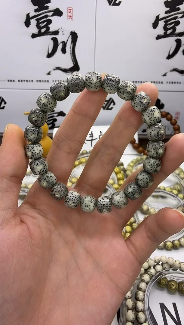 手串星月菩提10/9 石玉料 星点货 满天星 同枝果 L2