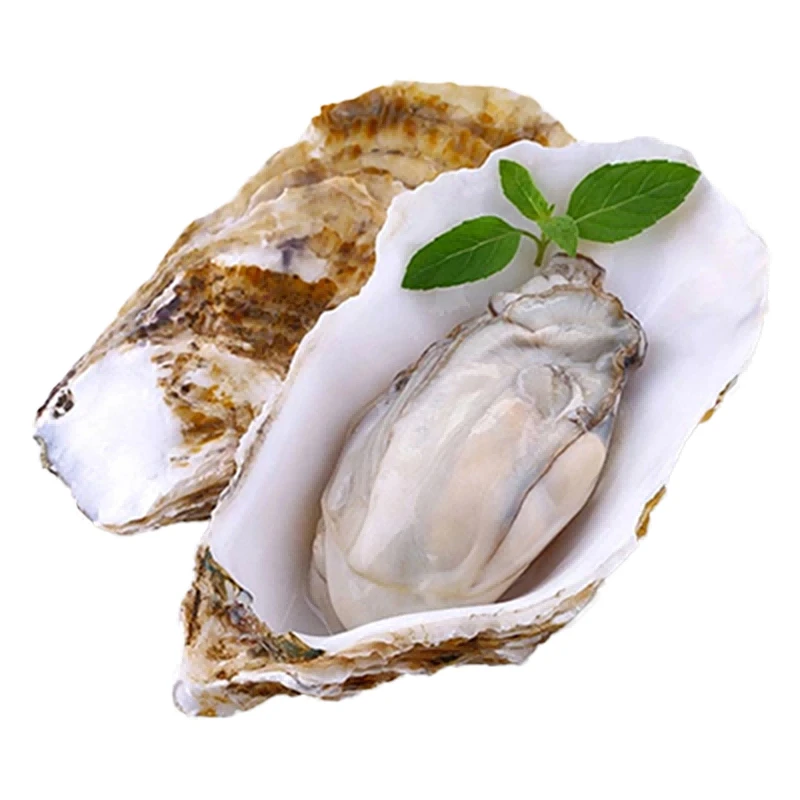 乳山5+生蚝 160g/个