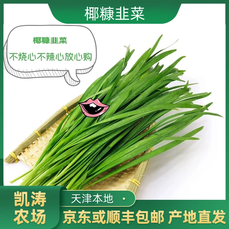 天津本地椰糠韭菜大棚种植不烧心不辣心 现割现发 京东顺丰包邮椰糠韭菜