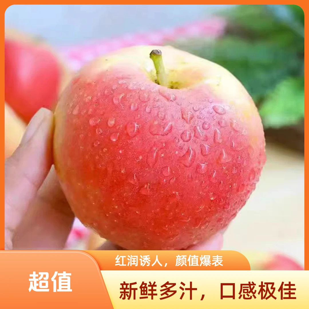 【开播链接】【拍3斤送2斤】【头茬本地嘎啦苹果-无酸】清脆爽口 汁水充足 顺丰包邮 次日达 限量100单!!!北京市