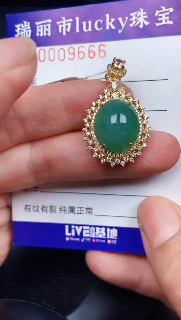翡翠银S925镶嵌颈饰9666