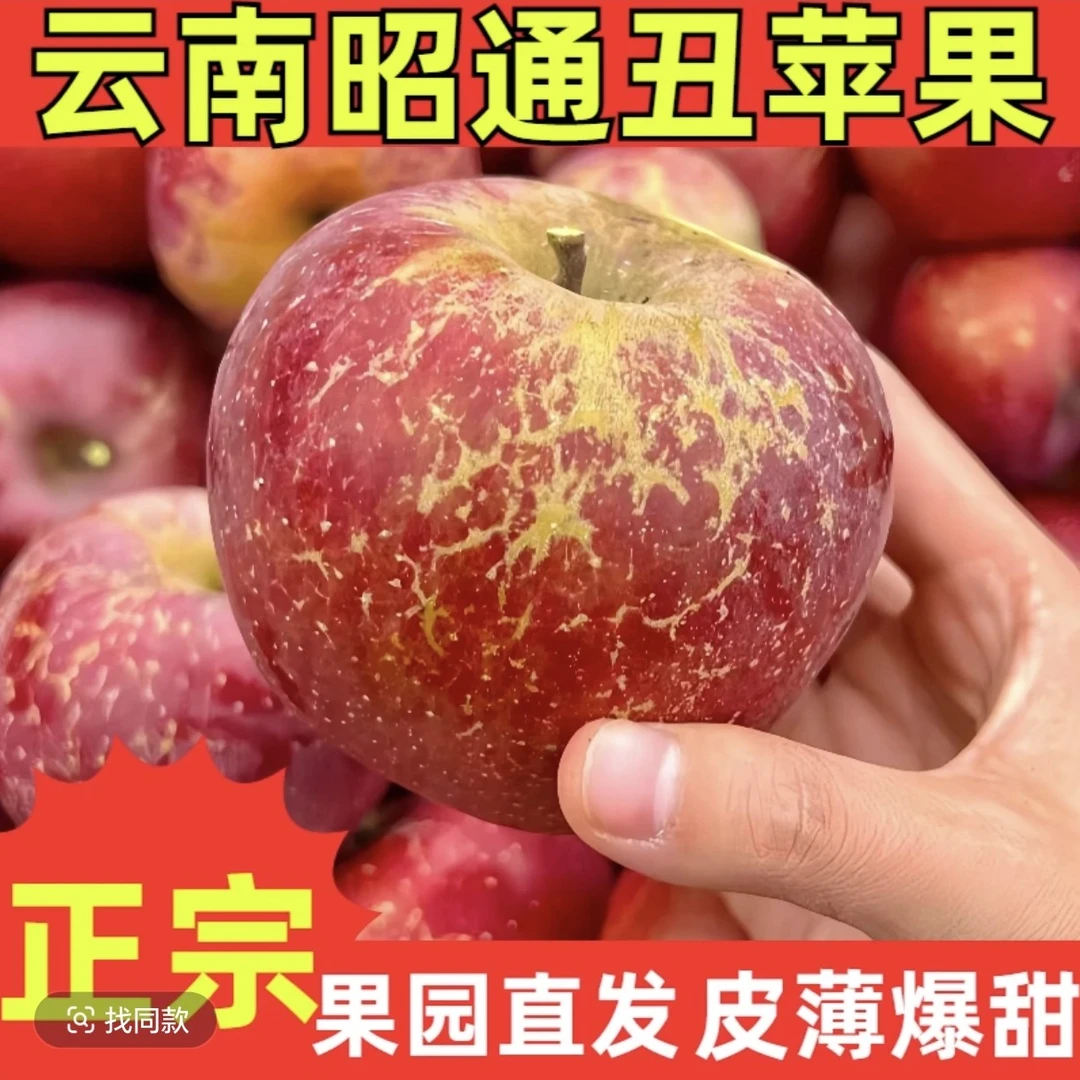 【昭通丑苹果】正宗云南昭通丑苹果果园现摘现发