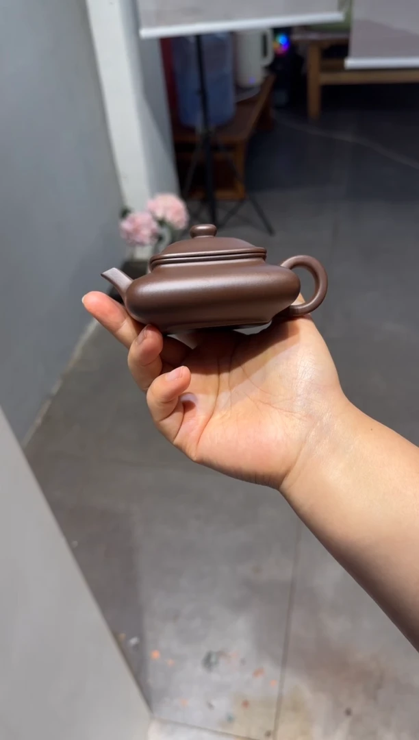 茶壶紫砂王*飞寒灰老人 小