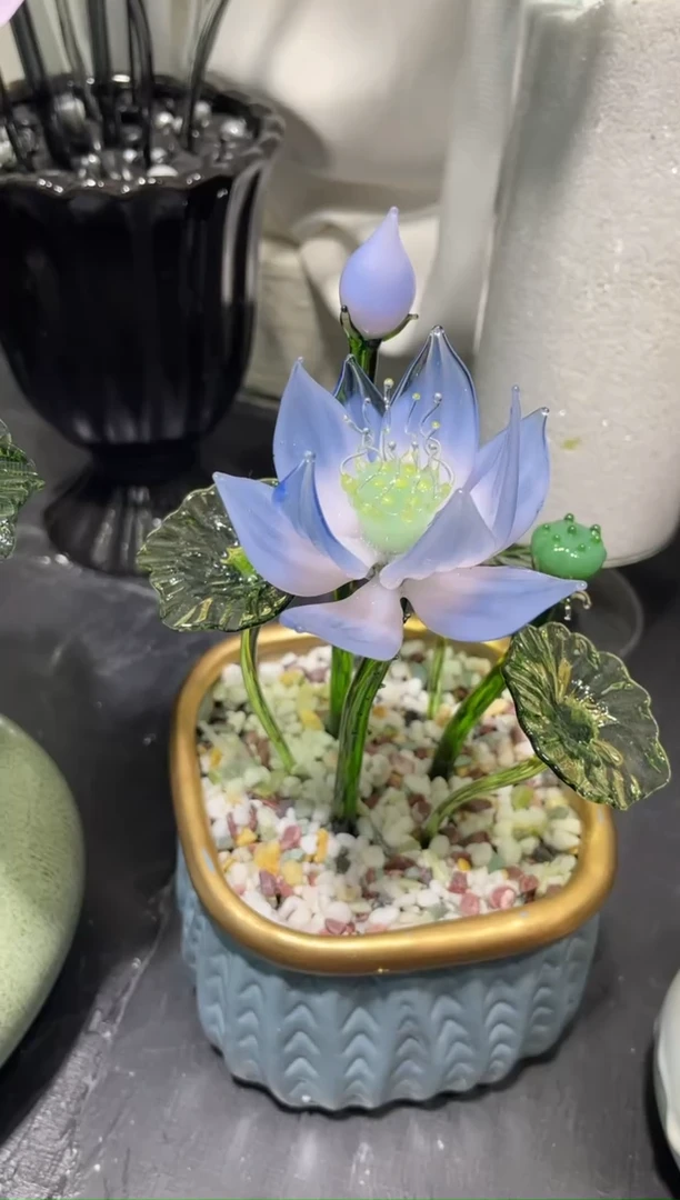 琉璃35荷花 福利款